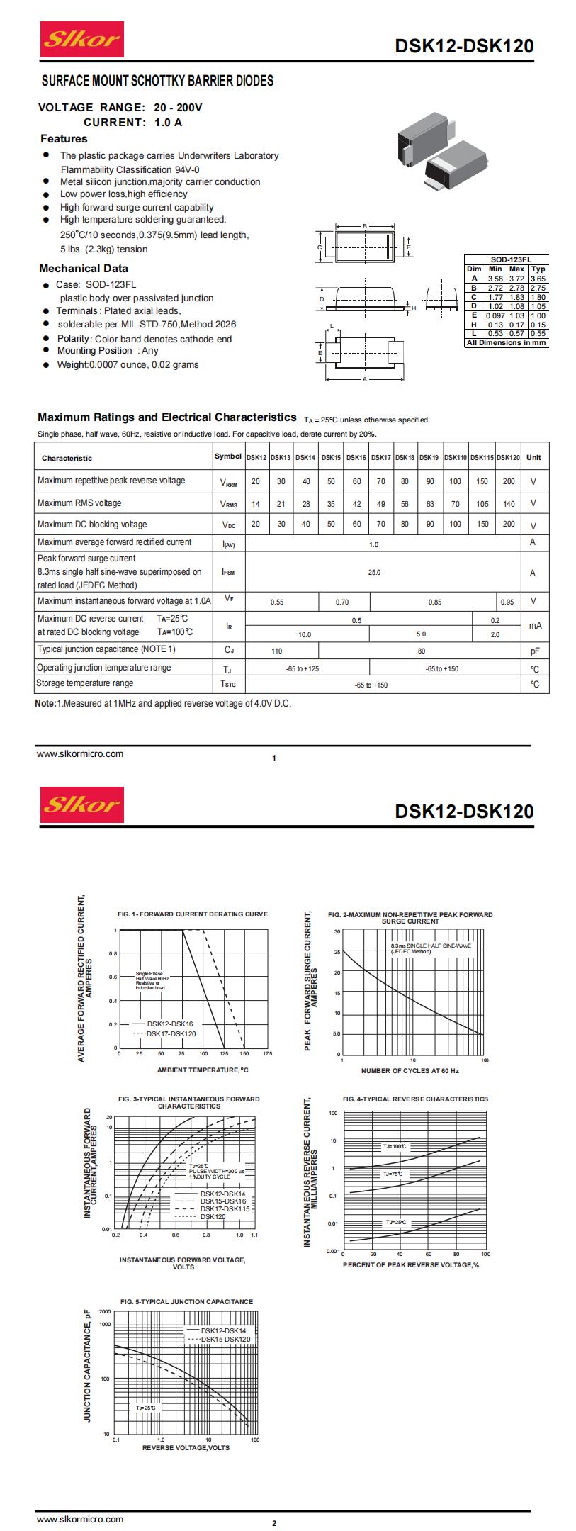 DSK110_00.jpg