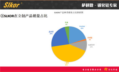 薩科微SLKOR同事年終總結集錦