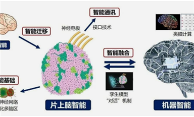 全球首創！中國研制出可開源的片上腦-機接口智能交互系統MetaBOC（薩科微7月1日芯聞）